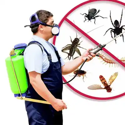 pest control Russell Springs